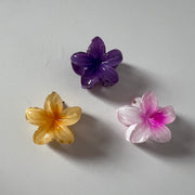 Mini claw clip (set of 3)